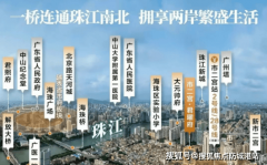 五、正在售楼栋和正在建工程进